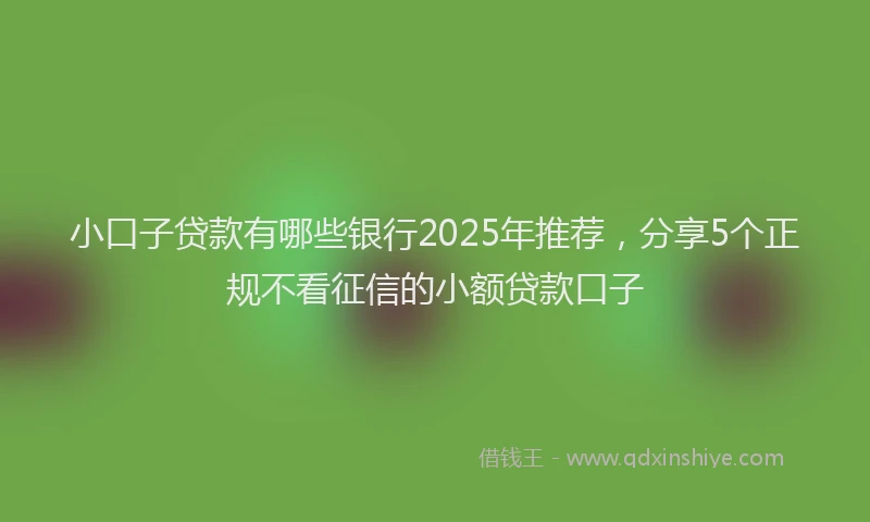 小口子贷款有哪些银行2025年推荐，分享5个正规不看征信的小额贷款口子