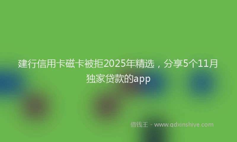 建行信用卡磁卡被拒2025年精选，分享5个11月独家贷款的app