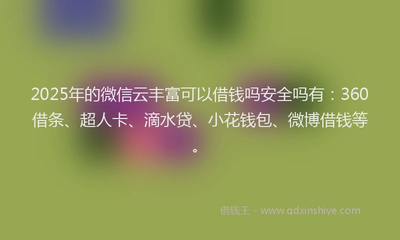 2025年的微信云丰富可以借钱吗安全吗有：360借条、超人卡、滴水贷、小花钱包、微博借钱等。