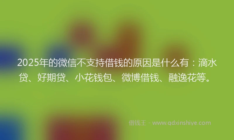 2025年的微信不支持借钱的原因是什么有：滴水贷、好期贷、小花钱包、微博借钱、融逸花等。