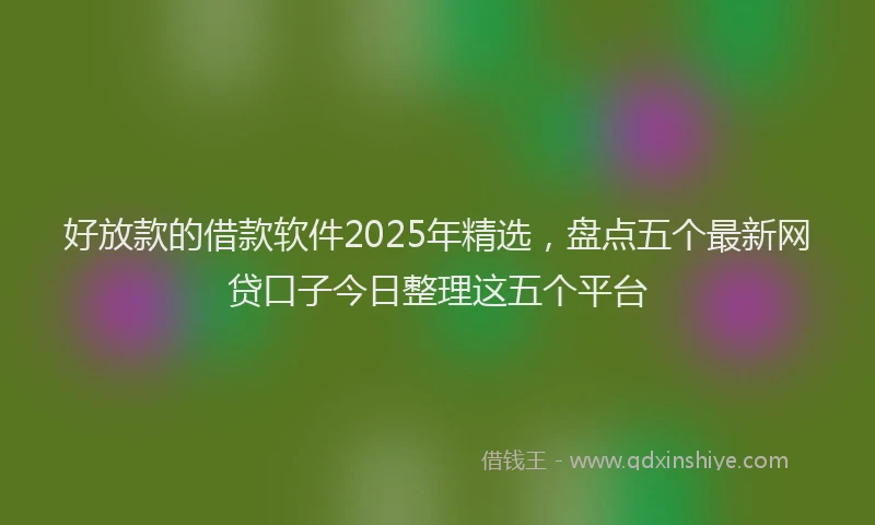 好放款的借款软件2025年精选，盘点五个最新网贷口子今日整理这五个平台