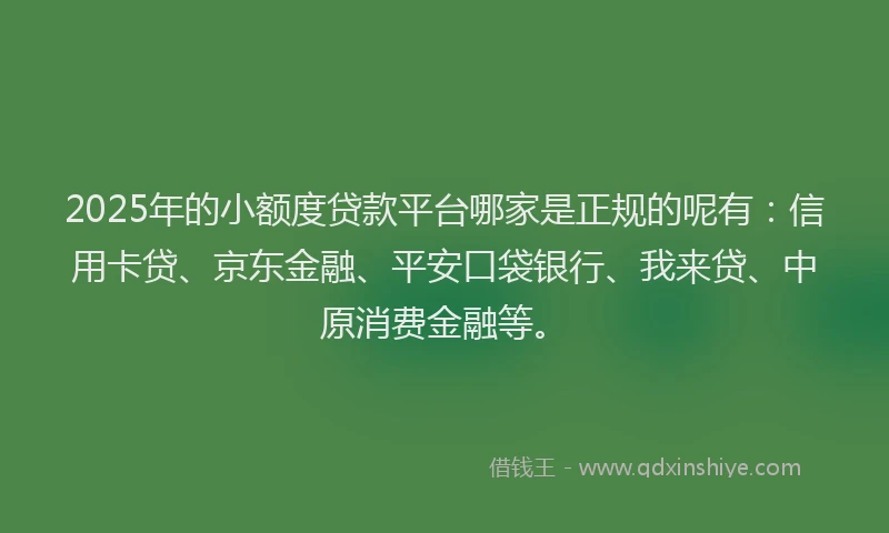 2025年的小额度贷款平台哪家是正规的呢有：信用卡贷、京东金融、平安口袋银行、我来贷、中原消费金融等。