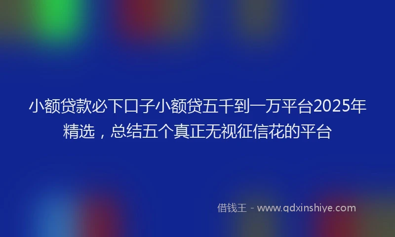 小额贷款必下口子小额贷五千到一万平台2025年精选，总结五个真正无视征信花的平台
