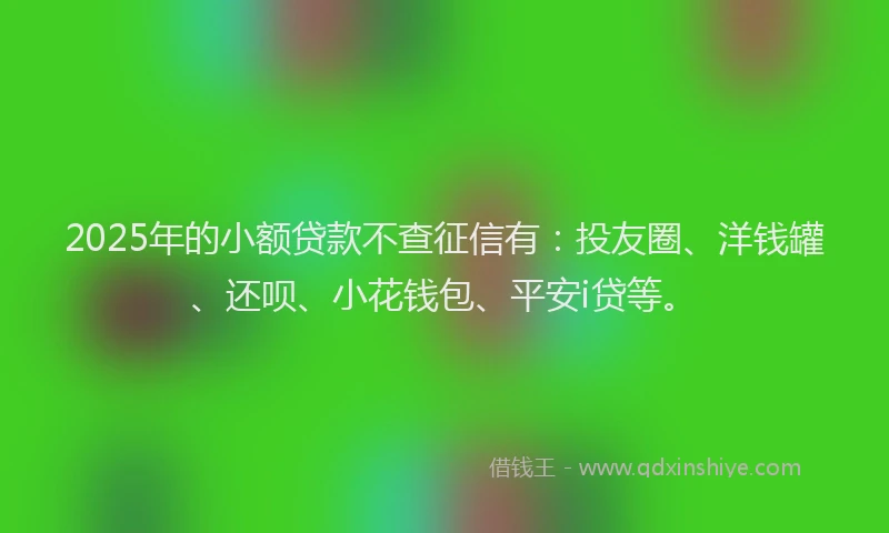 2025年的小额贷款不查征信有：投友圈、洋钱罐、还呗、小花钱包、平安i贷等。