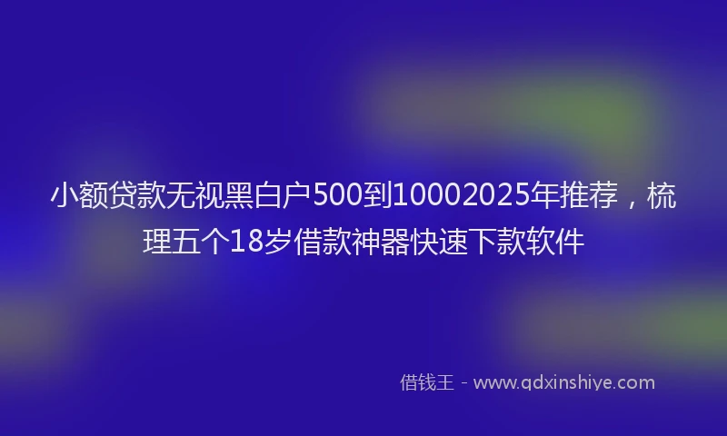 小额贷款无视黑白户500到10002025年推荐，梳理五个18岁借款神器快速下款软件