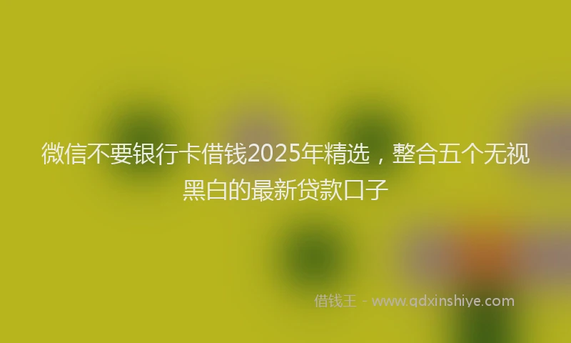 微信不要银行卡借钱2025年精选，整合五个无视黑白的最新贷款口子