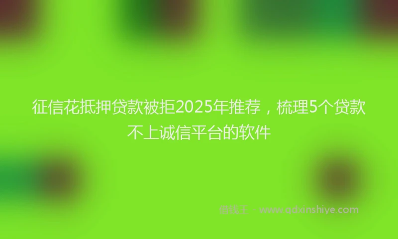征信花抵押贷款被拒2025年推荐，梳理5个贷款不上诚信平台的软件