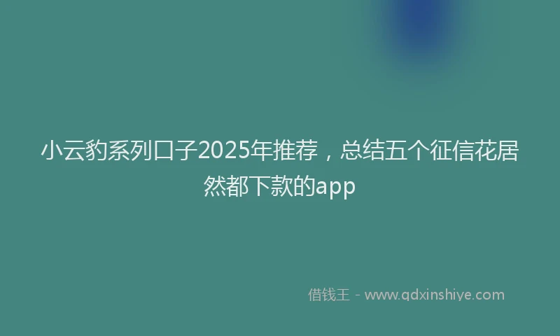 小云豹系列口子2025年推荐，总结五个征信花居然都下款的app