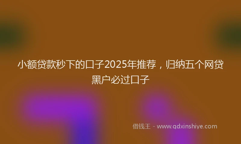 小额贷款秒下的口子2025年推荐，归纳五个网贷黑户必过口子