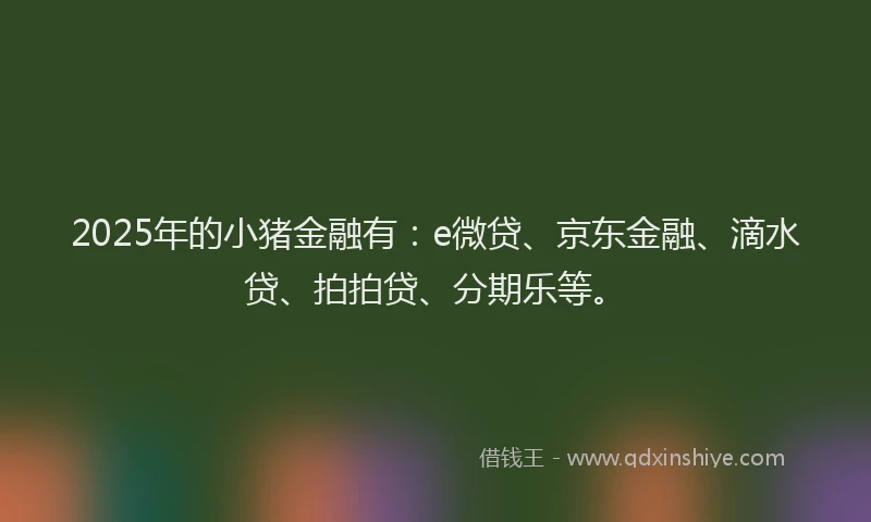 2025年的小猪金融有：e微贷、京东金融、滴水贷、拍拍贷、分期乐等。