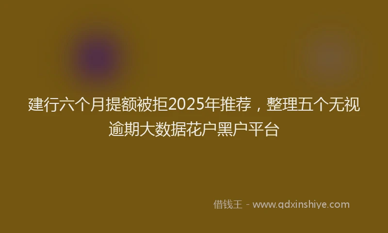 建行六个月提额被拒2025年推荐，整理五个无视逾期大数据花户黑户平台