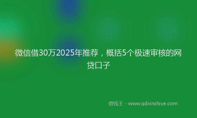 微信借30万2025年推荐，概括5个极速审核的网贷口子