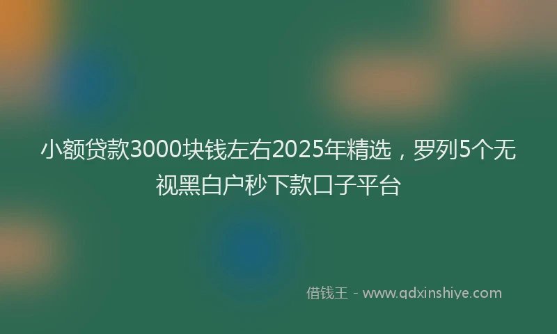 小额贷款3000块钱左右2025年精选，罗列5个无视黑白户秒下款口子平台