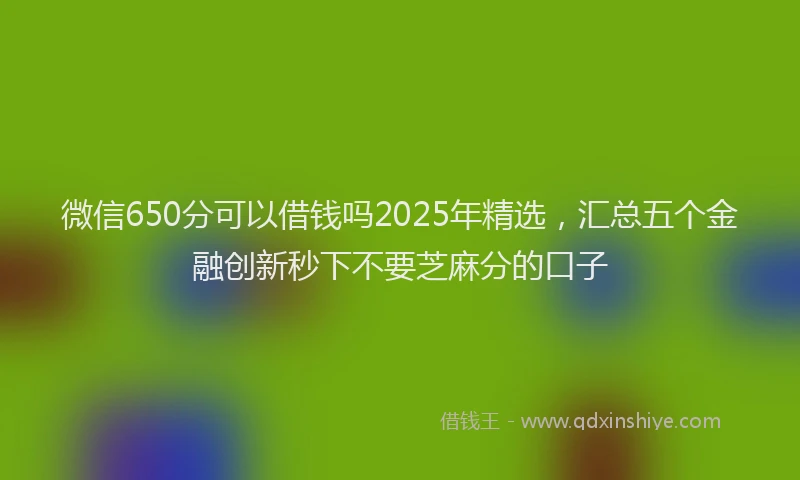 微信650分可以借钱吗2025年精选，汇总五个金融创新秒下不要芝麻分的口子