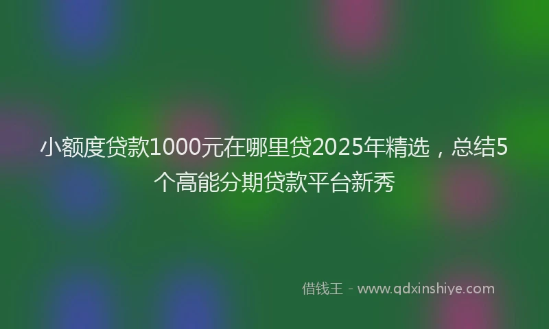 小额度贷款1000元在哪里贷2025年精选，总结5个高能分期贷款平台新秀