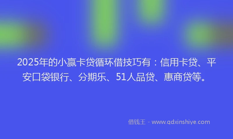 2025年的小赢卡贷循环借技巧有：信用卡贷、平安口袋银行、分期乐、51人品贷、惠商贷等。