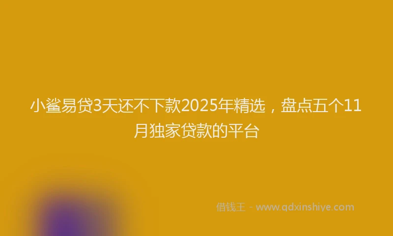 小鲨易贷3天还不下款2025年精选，盘点五个11月独家贷款的平台