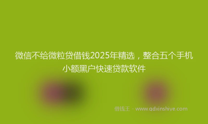 微信不给微粒贷借钱2025年精选，整合五个手机小额黑户快速贷款软件