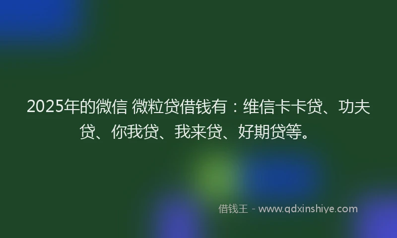 2025年的微信 微粒贷借钱有：维信卡卡贷、功夫贷、你我贷、我来贷、好期贷等。
