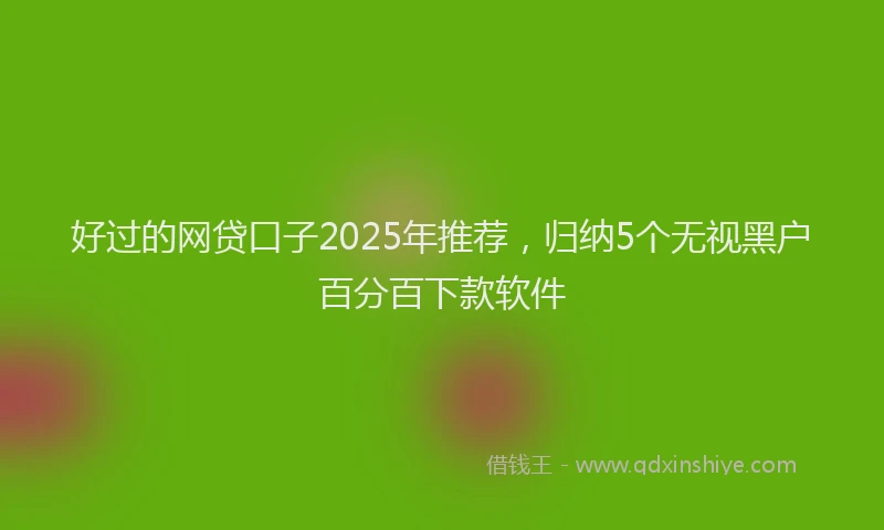 好过的网贷口子2025年推荐，归纳5个无视黑户百分百下款软件