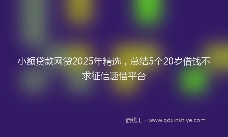 小额贷款网贷2025年精选，总结5个20岁借钱不求征信速借平台