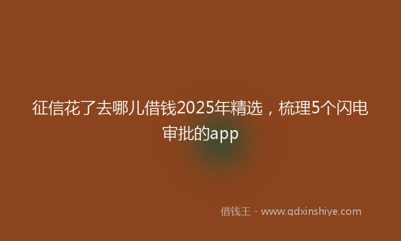 征信花了去哪儿借钱2025年精选，梳理5个闪电审批的app