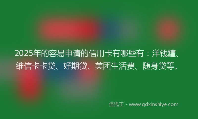2025年的容易申请的信用卡有哪些有：洋钱罐、维信卡卡贷、好期贷、美团生活费、随身贷等。