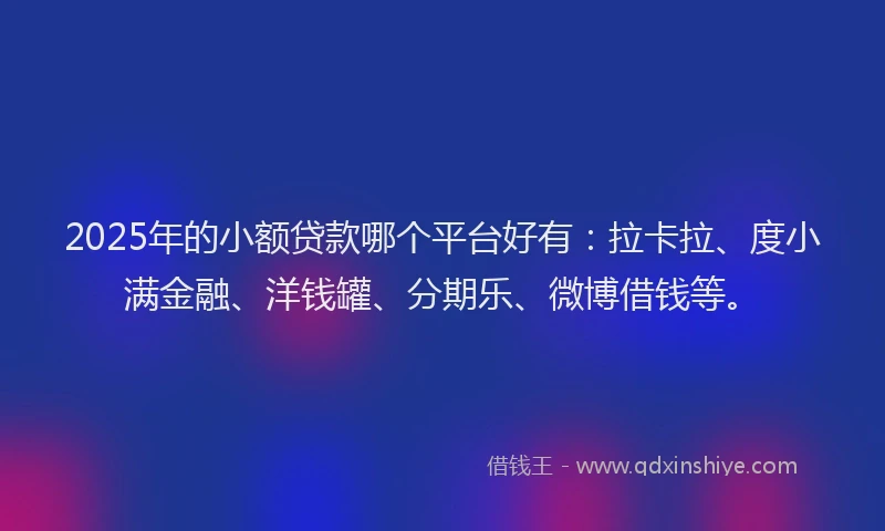 2025年的小额贷款哪个平台好有：拉卡拉、度小满金融、洋钱罐、分期乐、微博借钱等。