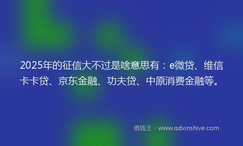 2025年的征信大不过是啥意思有：e微贷、维信卡卡贷、京东金融、功夫贷、中原消费金融等。