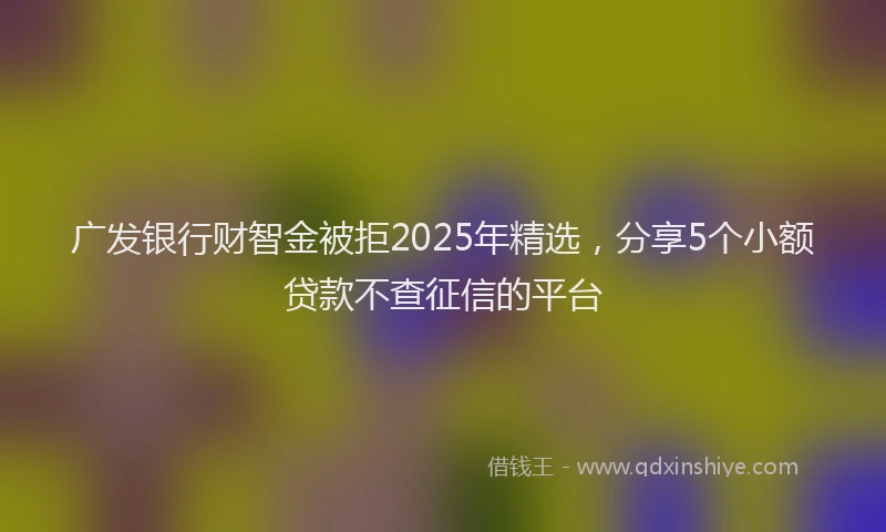 广发银行财智金被拒2025年精选，分享5个小额贷款不查征信的平台