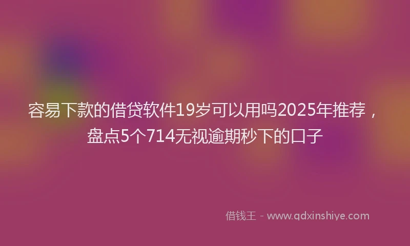 容易下款的借贷软件19岁可以用吗2025年推荐，盘点5个714无视逾期秒下的口子