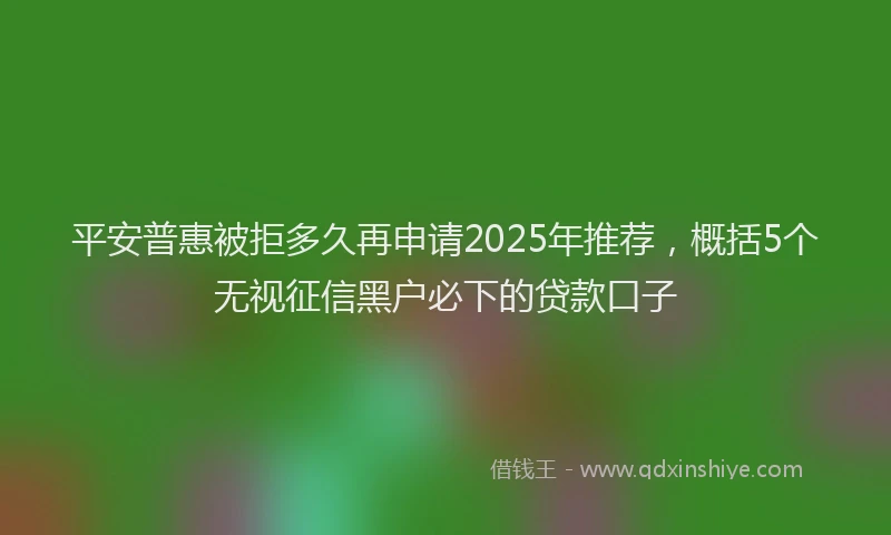 平安普惠被拒多久再申请2025年推荐，概括5个无视征信黑户必下的贷款口子
