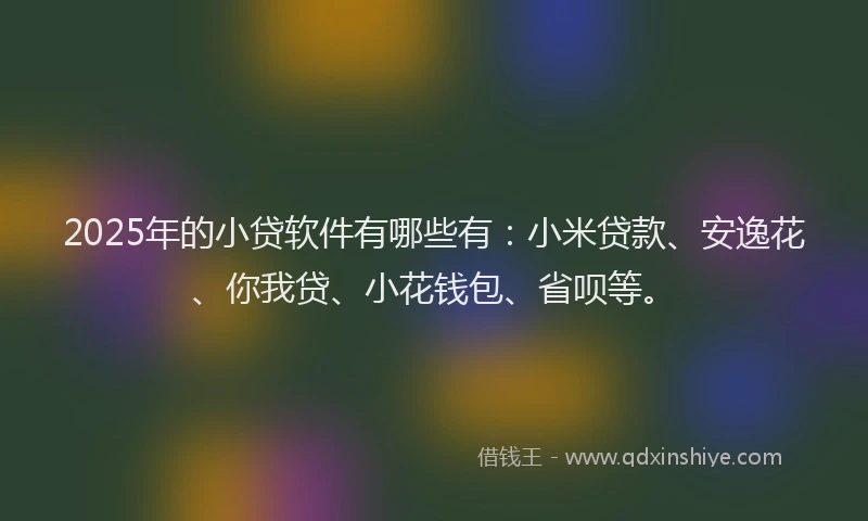 2025年的小贷软件有哪些有：小米贷款、安逸花、你我贷、小花钱包、省呗等。