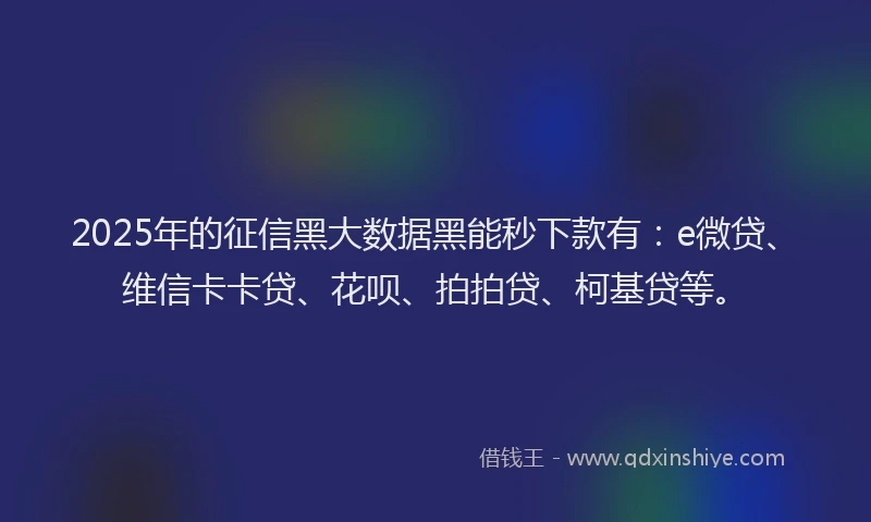 2025年的征信黑大数据黑能秒下款有：e微贷、维信卡卡贷、花呗、拍拍贷、柯基贷等。