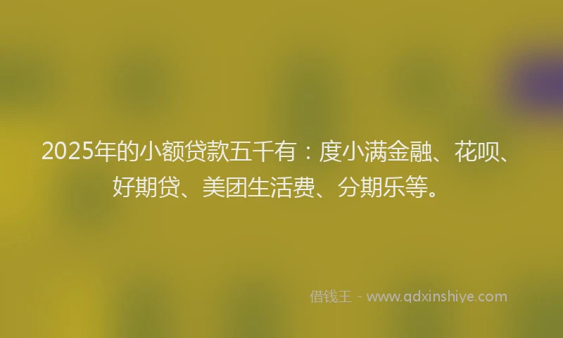 2025年的小额贷款五千有：度小满金融、花呗、好期贷、美团生活费、分期乐等。
