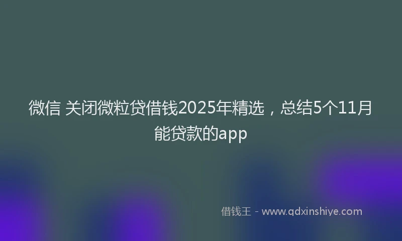 微信 关闭微粒贷借钱2025年精选，总结5个11月能贷款的app