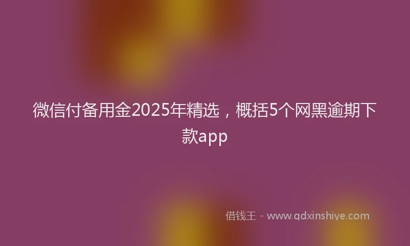 微信付备用金2025年精选，概括5个网黑逾期下款app