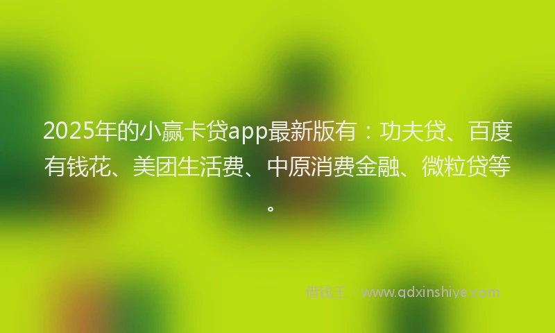 2025年的小赢卡贷app最新版有：功夫贷、百度有钱花、美团生活费、中原消费金融、微粒贷等。