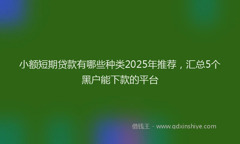 小额短期贷款有哪些种类2025年推荐，汇总5个黑户能下款的平台