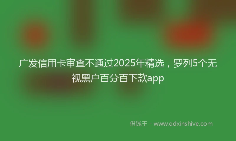 广发信用卡审查不通过2025年精选，罗列5个无视黑户百分百下款app