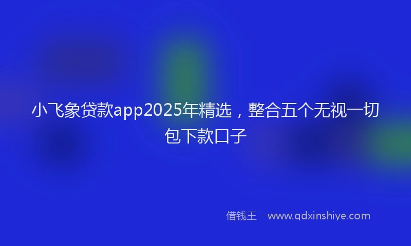 小飞象贷款app2025年精选，整合五个无视一切包下款口子