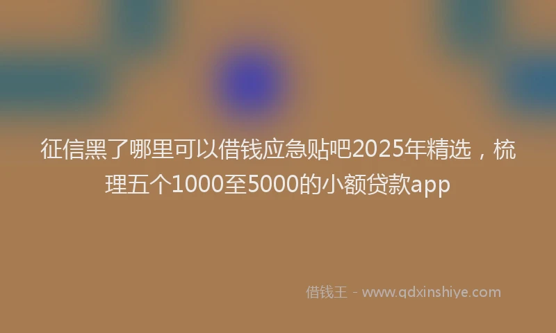 征信黑了哪里可以借钱应急贴吧2025年精选，梳理五个1000至5000的小额贷款app