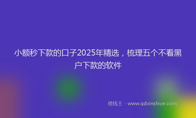 小额秒下款的口子2025年精选，梳理五个不看黑户下款的软件