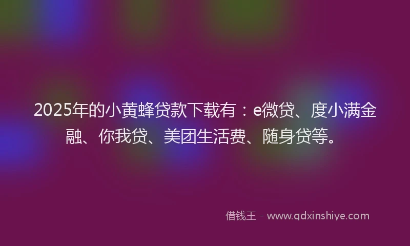 2025年的小黄蜂贷款下载有：e微贷、度小满金融、你我贷、美团生活费、随身贷等。