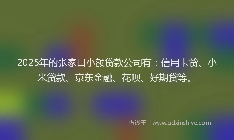 2025年的张家口小额贷款公司有：信用卡贷、小米贷款、京东金融、花呗、好期贷等。