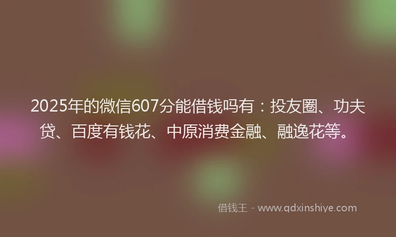 2025年的微信607分能借钱吗有：投友圈、功夫贷、百度有钱花、中原消费金融、融逸花等。