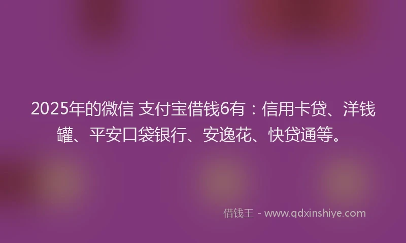 2025年的微信 支付宝借钱6有：信用卡贷、洋钱罐、平安口袋银行、安逸花、快贷通等。