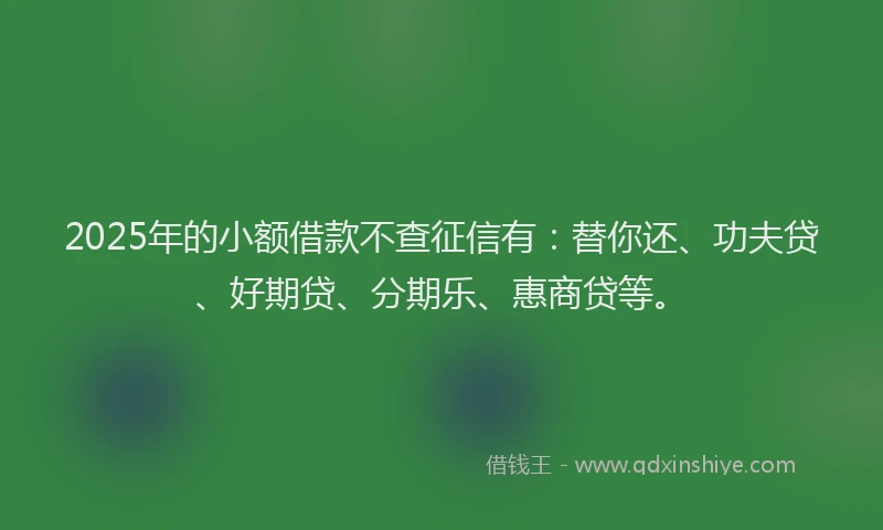 2025年的小额借款不查征信有：替你还、功夫贷、好期贷、分期乐、惠商贷等。