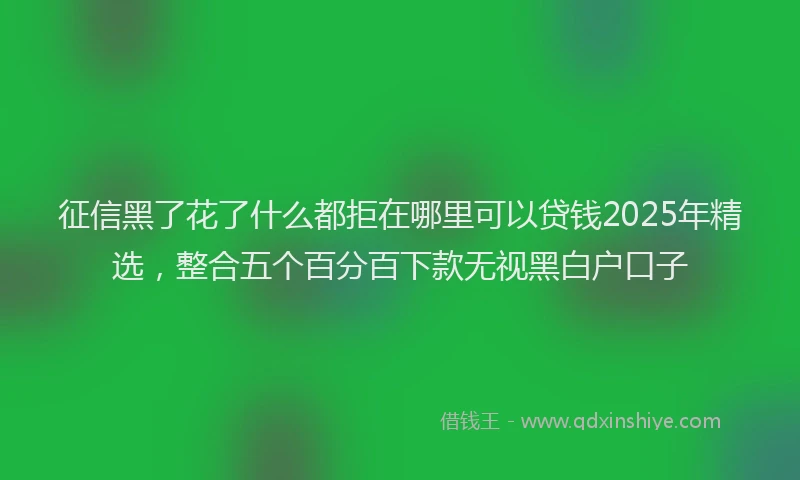 征信黑了花了什么都拒在哪里可以贷钱2025年精选，整合五个百分百下款无视黑白户口子