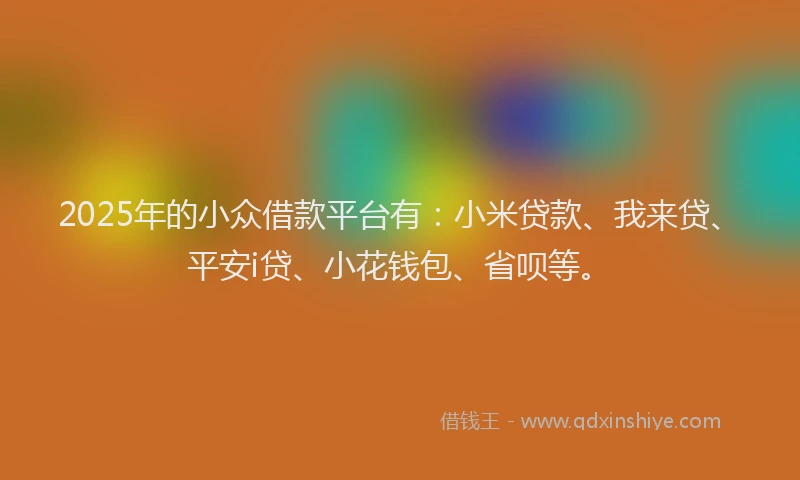 2025年的小众借款平台有：小米贷款、我来贷、平安i贷、小花钱包、省呗等。